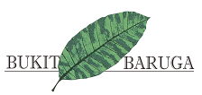 Bukit Baruga